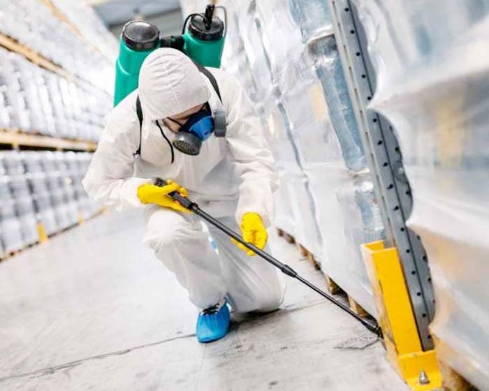 Control De Plagas CESHSYMA