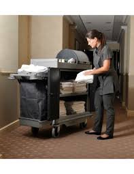 Carros lavandería y Hotel